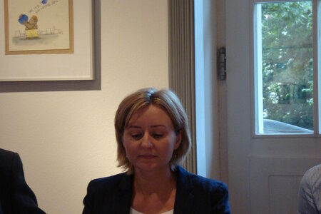 Monika Stefanek, Journalistin