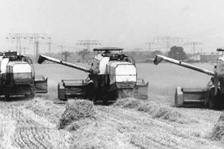 Roggenernte in Cottbus 1984, die Maschinen waren häufig stark reparaturbedürftig, es mangelte
an Material und Ersatzteilen. Foto: Rainer Weisflog, Bundesarchiv, Bild 183-1984-0803-026, CC-BY-SA Roggenernte in Cottbus 1984, die Maschinen waren häufig stark reparaturbedürftig