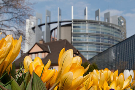 Frühling in Straßburg © European Parliament | flickr | CC BY-NC-ND Frühling in Straßburg