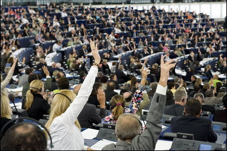 Das Europäische Parlament stimmte am 23.10.2012 dafür, das Jahr 2013 zum "Europäischen Jahr der Bürgerinnen und Bürger" zu erklären.