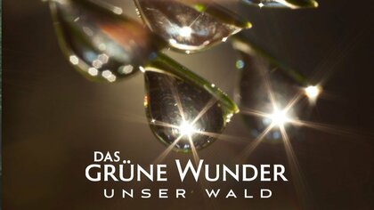 Vorschaubild
