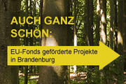 Europa in Brandenburg Geförderte Projekte in Brandenburg