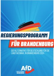 AfD Landtagswahlprogramm 2024
