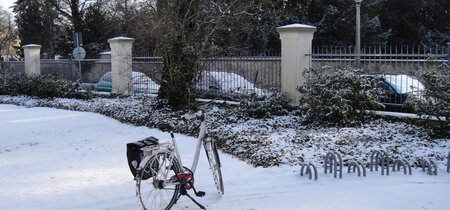 Weder Schnee noch Kälte hielten die Teilnehmer ab zu kommen