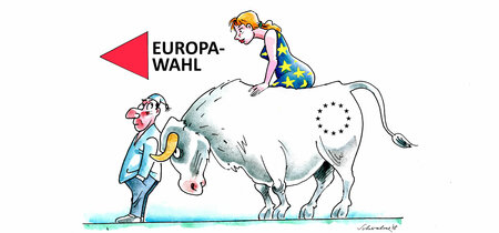 Karikatur zur Europawahl von Reiner Schwalme