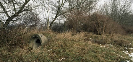 Björn Gripinski: Versteck Color-Print, 2006
