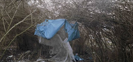 Björn Gripinski: Auszug Color-Print, 2006