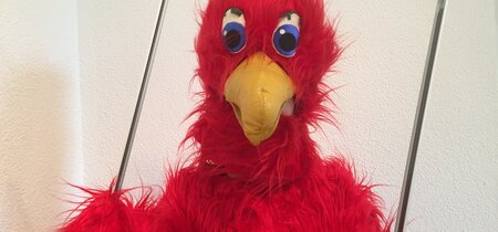 Adler mit Bilderrahmen