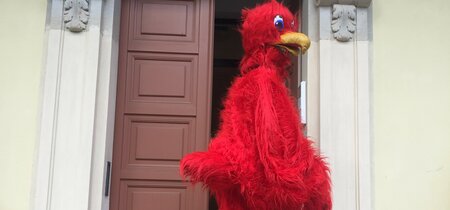 Adler auf dem Weg in die Landeszentrale