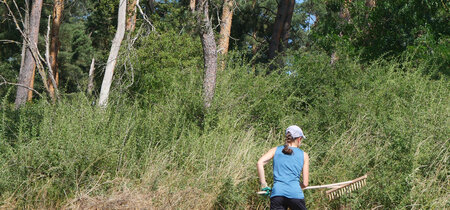 Sommerlicher Arbeitseinsatz auf der Wiese