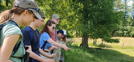 Bei der Erkundung des Flussufer-Biotops