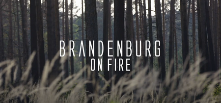 Brandenburg on fire - Wie muss unser Wald künftig aussehen. 