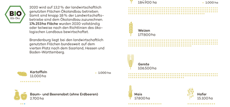 Hauptanbaukulturen in Brandenburg