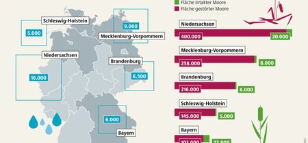 Notwendige Wiedervernässung von Mooren in Deutschland