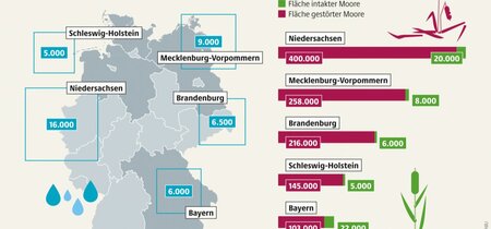 Notwendige Wiedervernässung von Mooren in Deutschland Notwendige Wiedervernässung von Mooren in Deutschland