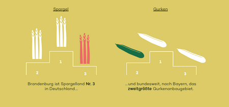 Zahlen & Fakten: Spargel