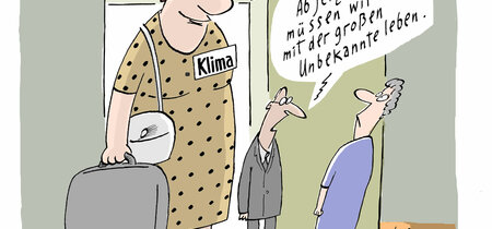 Karikatur: Nel