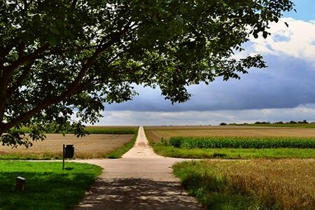 Ein Wanderweg in Brandenburg