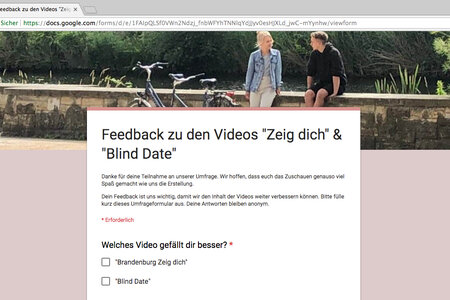 Screenshot aus der Umfrage