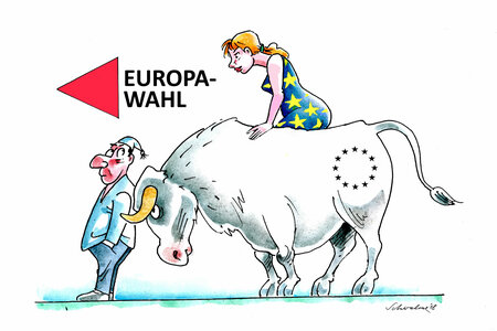 Karikatur zur Europawahl von Reiner Schwalme