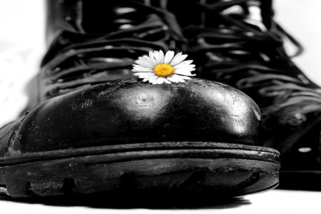 schwarze Stiefel mit Gänseblümchen
