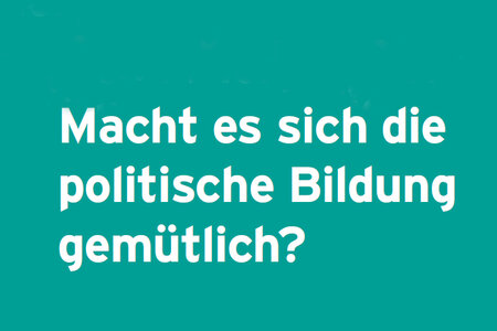 Macht es sich die politische Bildung gemütlich? Auszug aus dem Jahresbericht