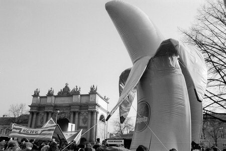 März 1990: Erster „Euromarkt“ auf dem Luisenplatz – die Banane wurde zum Symbol 