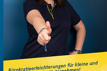 FDP-Kampagne "Gut gemacht, Deutschland!" Juni 2013
