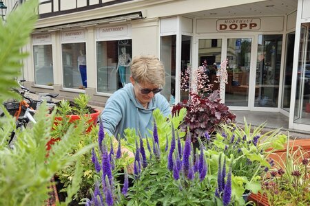 Eine engagierte Frau pflegt ein Hochbeet in Perleberg