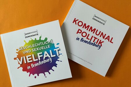 Basiswissen Demokratie