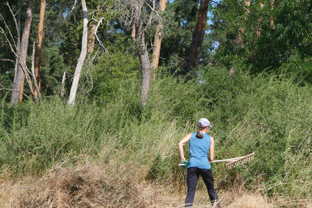 Sommerlicher Arbeitseinsatz auf der Wiese