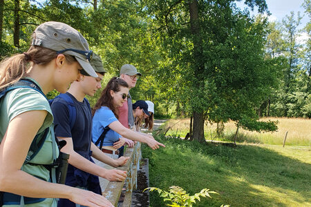 Bei der Erkundung des Flussufer-Biotops