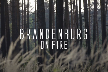 Brandenburg on fire - Wie muss unser Wald künftig aussehen. 