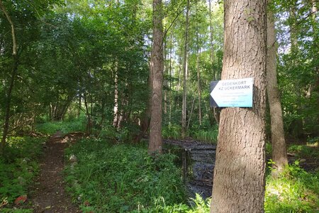 Nicht vergessen! Theaterprojekt im Jugend-KZ Uckermark