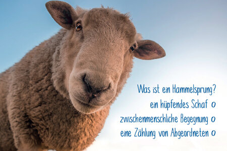 Was ist ein Hammelsprung?