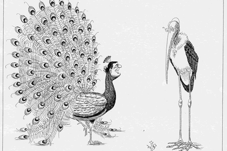 Politische Ornithologie