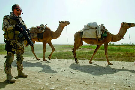  Kamele an der Straßensperre