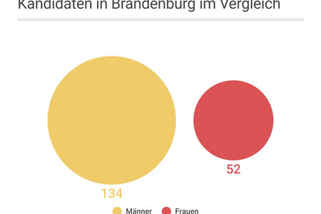 Kandidaten und Kandidatinnen aus Brandenburg 
