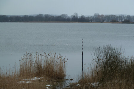 Der Stab markiert den geografischen Mittelpunkt im Fahrländer See