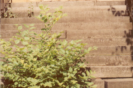 Die Treppe