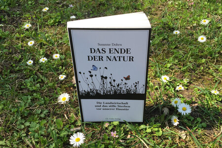 Buch auf der Wiese