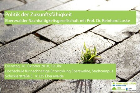 Einsamer Grasbüschel im Straßenpflaster