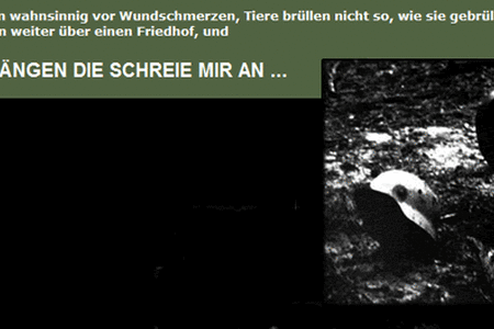 Waldfriedhof Halbe 1995 - Rekonstruktion einer Geschichtswerkstatt