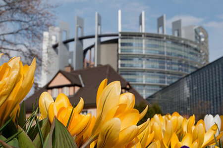 Frühling in Straßburg