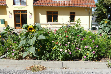 Im Gemeindehaus finden die Sitzungen statt. Gemeindehaus Priort. Foto: privat