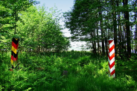 Grenzsteine im Wald