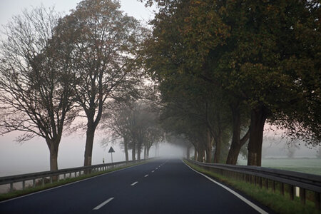 Allee im Havelland. Foto: Oliver Mark Allee im Havelland. Foto: Oliver Mark