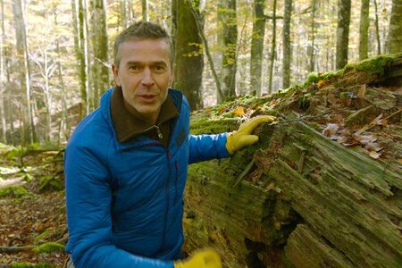 "Faszination Erde - Planet der Wälder"