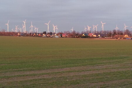 Windräder in Brandenburg