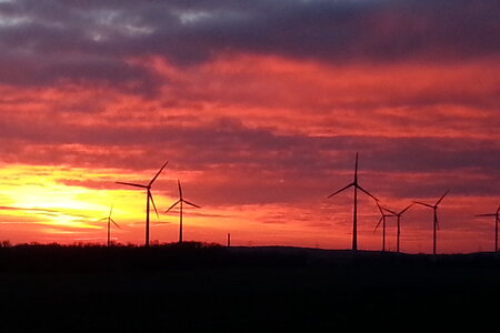 Windräder im Sonnenuntergang in Brandenburg